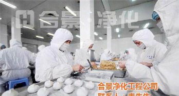 合景實業 在線咨詢 食品凈化車間