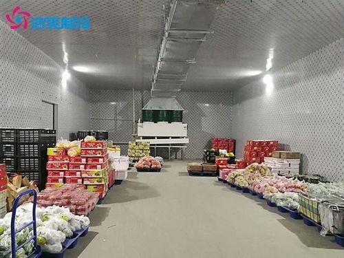 建造1000噸食品加工冷庫大概需要多少