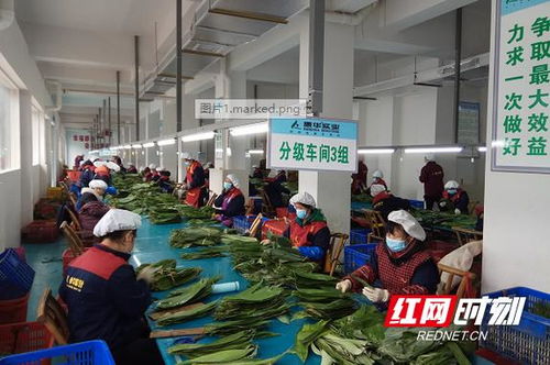 康華實業 扶貧工廠 復工忙 暖心工程 有力量